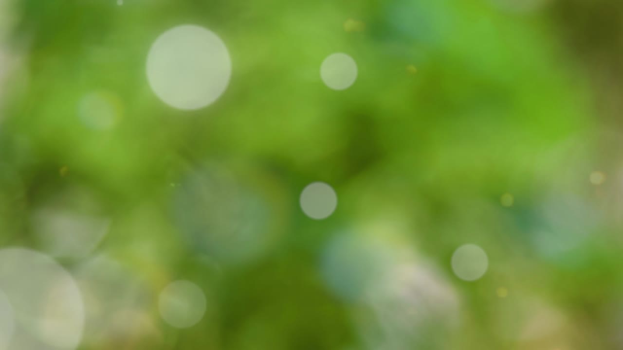 fondo de verano abstracto con bokeh