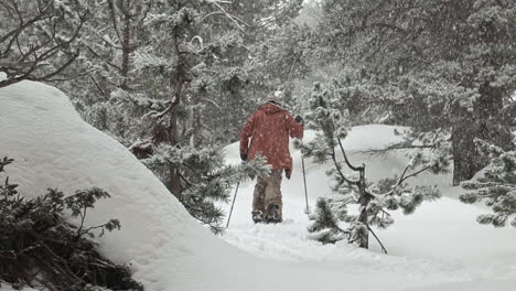 slowmotion of a snowboarder going up in the middle of a forest with his splitboard while it snows