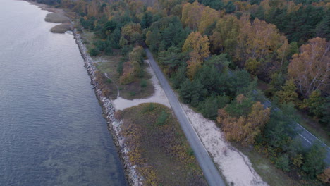 Seaside-road-alongside-dense-forest,-Hel-Peninsula