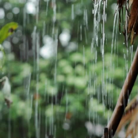 Rain-pouring-outside-of-hut