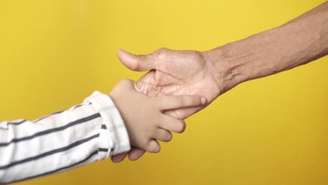 grandparent and child handshake