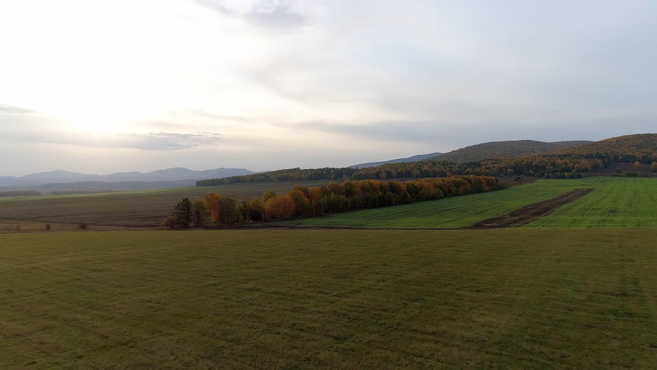 vista aérea de un campo con árboles y montañas en el fondo