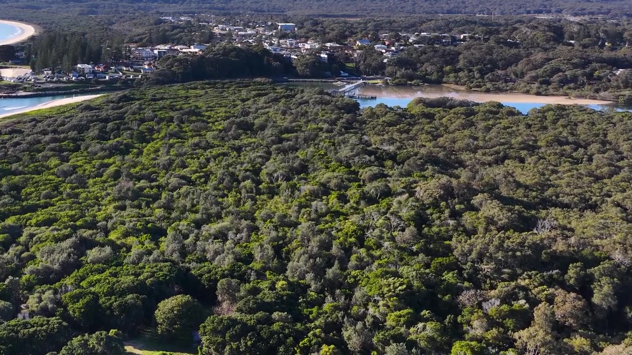 Drone-opname vanuit een hoge hoek over een dicht groen bos richting een kustplaats en een zeearm