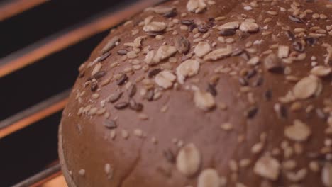 close-up of a freshly baked seeded bun