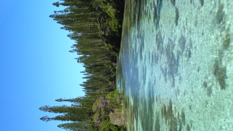 la laguna y su agua cristalina fluye hacia la piscina natural de oro, isla de pinos