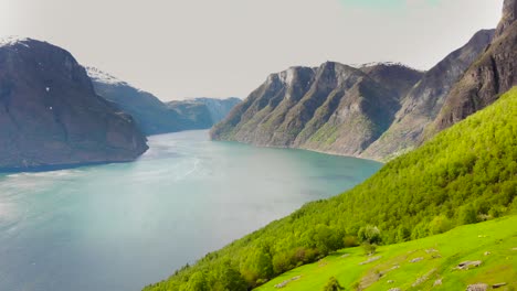aérea: volando sobre el fiordo sognefjord desde la ladera de una montaña