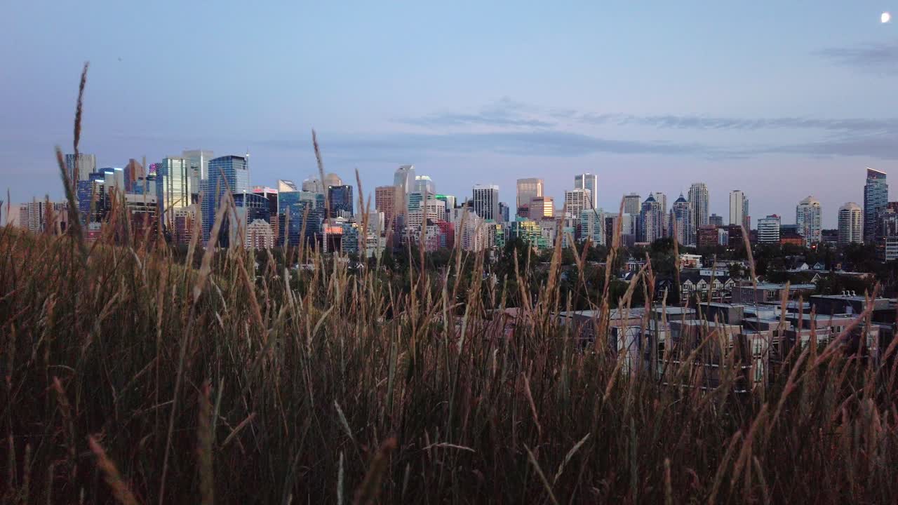 저녁 팬에 잔디가 있는 스카이라인 캘거리 캐나다 앨버타