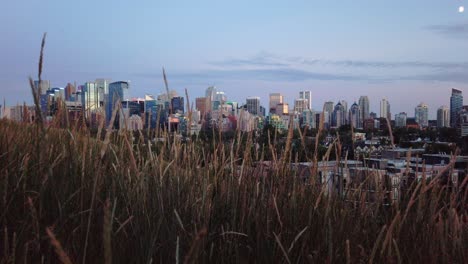Skyline-Mit-Gras-In-Der-Abendpfanne-Calgary-Alberta-Kanada