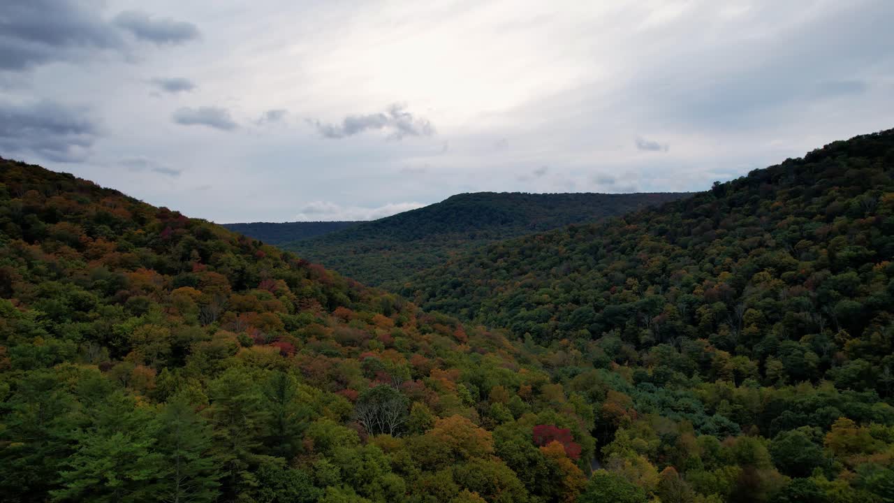 hermosas imágenes de video de drones aéreos de las montañas apalaches en los estados unidos durante el otoño