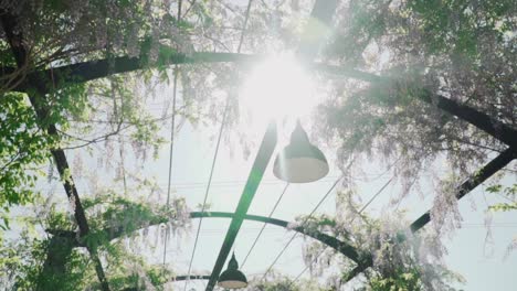 sunlight through beautiful garden archway in a wedding - low angle shot