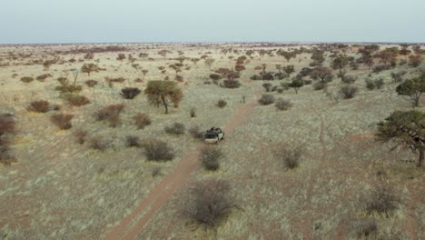 un vehículo de safari 4x4 a través de la sabana del paisaje desierto de namibia en el sur de áfrica