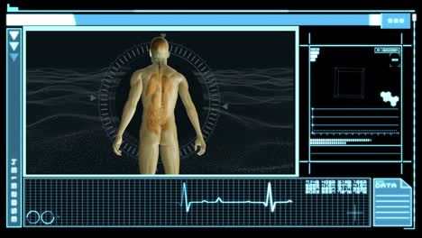 Medizinische-Schnittstelle,-Die-Die-Menschliche-Form-Mit-Organen-Zeigt