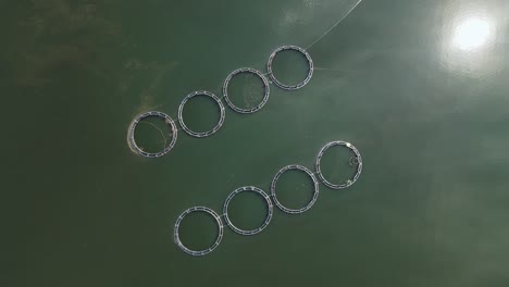 vista aérea superior sobre una granja de peces con muchos recintos de peces en jaulas