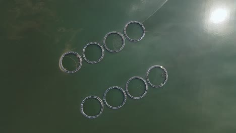 aerial top view over a fish farm with lots of fish enclosures on cages