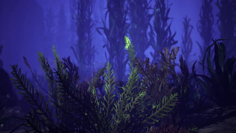 vibrant underwater plants in a serene ocean environment at dusk