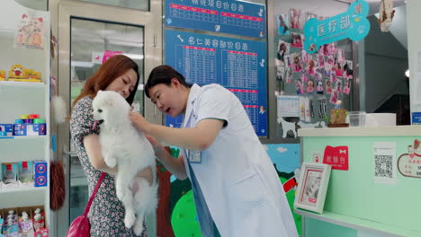 veterinarian doctor in uniform talking to owner of pet for consultation, visit or pet insurance. animal, wellness and mature with client for advice, conversation or medical assessment in clinic