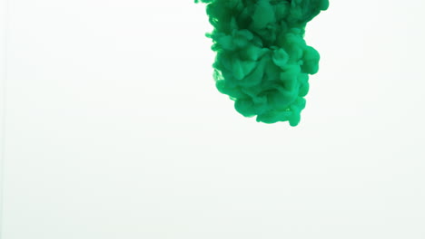 green paint or dye dropped into water against white background to create swirling colourful smoke background 4