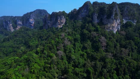dense tropical rainforest covering steep limestone mountains in thailand. great aerial view flight panorama overview drone