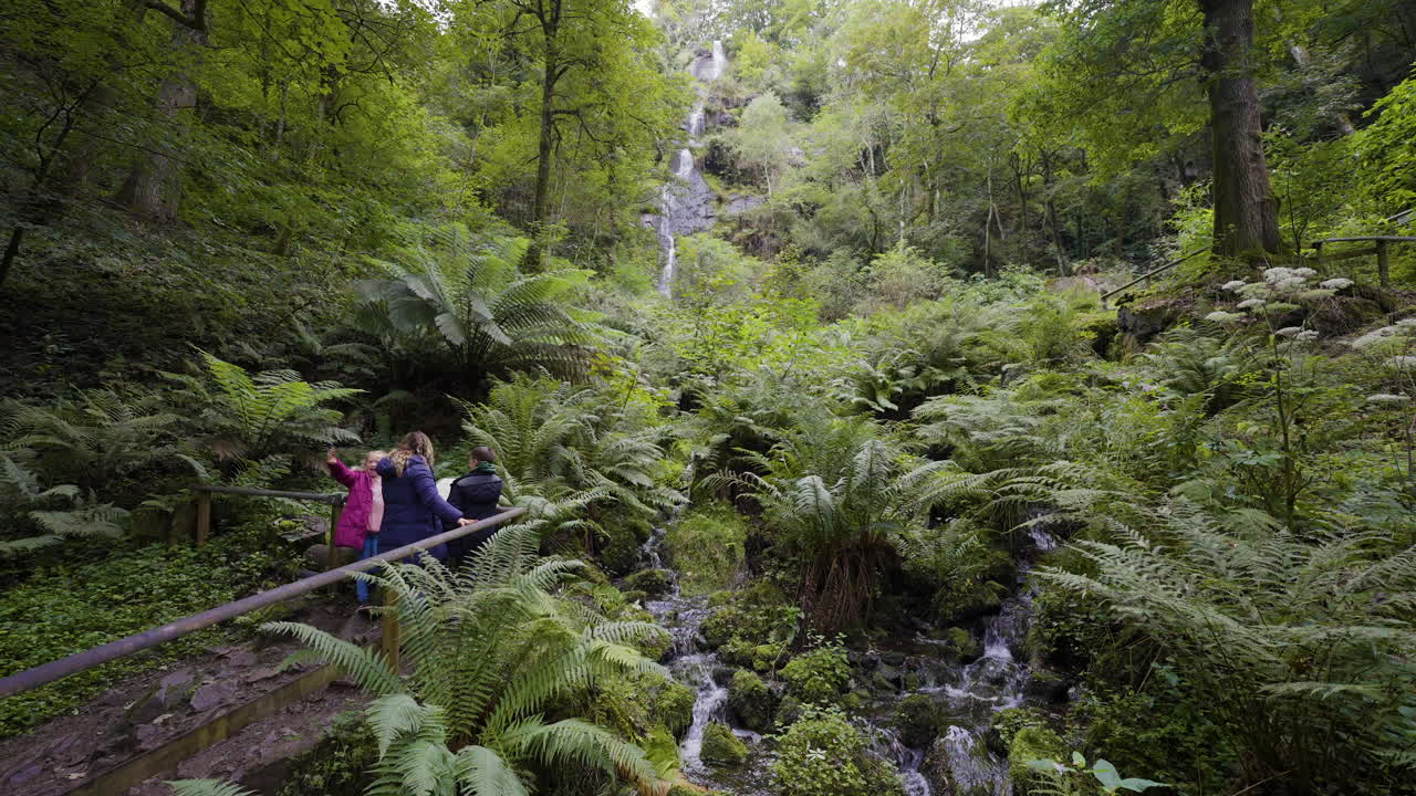 familia caminando a una cascada en un bosque exuberante
