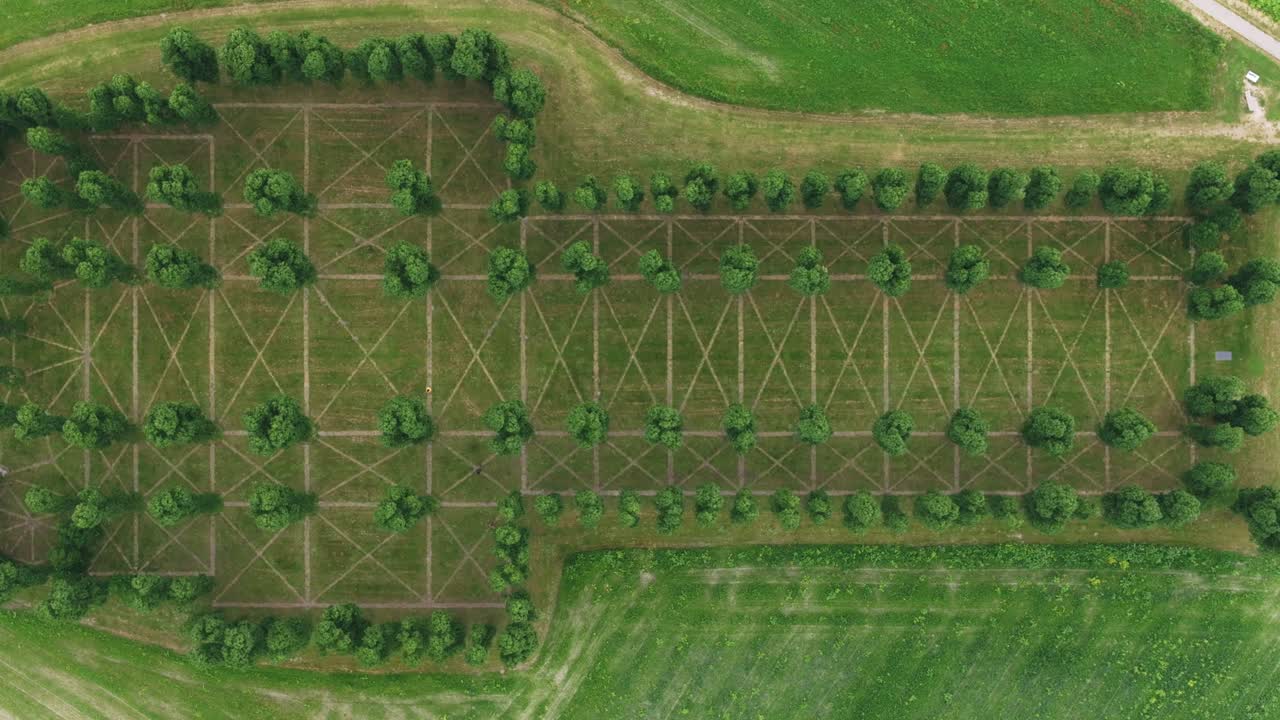 Aerial view of De Groene Kathedraal with park, art, trees, showing peaceful scenic landscape in Netherlands
