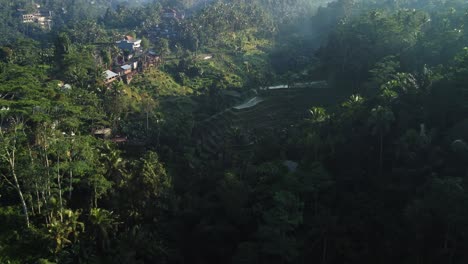 Vista-Aérea-De-Las-Hermosas-Terrazas-De-Arroz-De-Tegalalang-Con-Vistas-A-La-Densa-Jungla-Y-Antiguos-Edificios-De-Madera-Durante-Un-Emocionante-Viaje-A-Través-De-Tegallalang,-Gianyar-En-Bali.