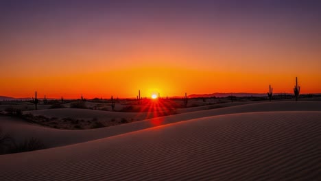 vibrant desert sunset over sand dunes with cacti