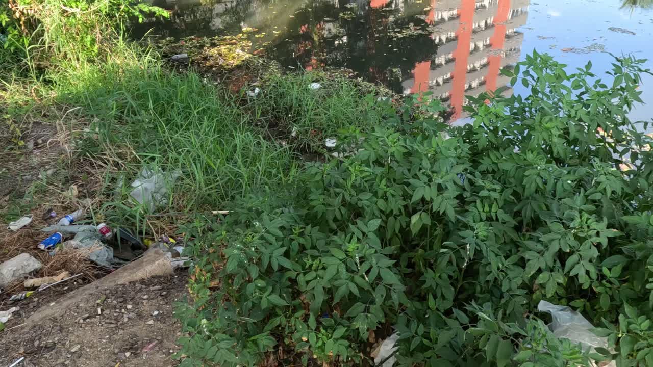 secuencia que muestra la eliminación gradual de la basura de la naturaleza