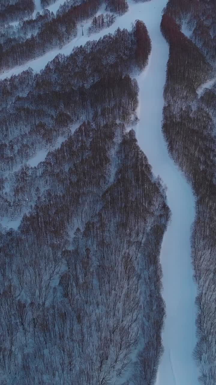 Ripresa aerea verticale di una stazione sciistica attiva in inverno, Giappone, che rivela una cima di montagna.