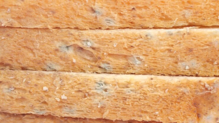Brown bread with mildew spoiled products,