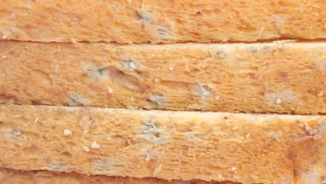pan marrón con productos estropeados por el moho,