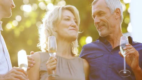 friends interacting with each other while having champagne in balcony