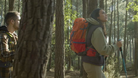 active couple enjoying hiking trip in forest