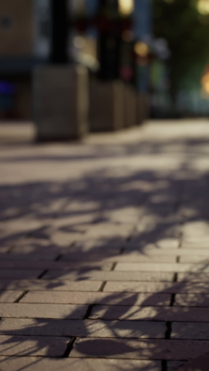 벽돌로 된 보행로 에 있는 그림자