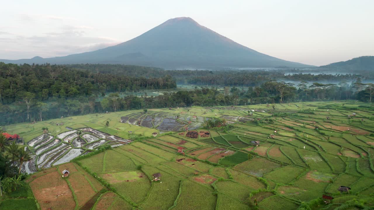 tomada inversa de drones de hermosas terrazas de arroz y niebla matutina con el volcán mount agung, bali, indonesia