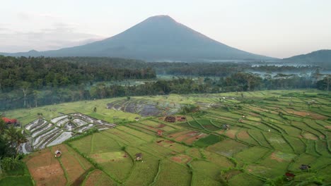 reverse drone shot of beautiful rice terraces and morning mist with mount agung volcano, bali, indonesia