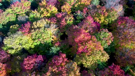 aerial view of forest in upstate new york adirondack mountains in october