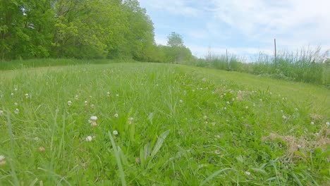 Low-angle-POV-of-driving-on-a-path-through-fresh-cut-grass-and-following-a-fence-line