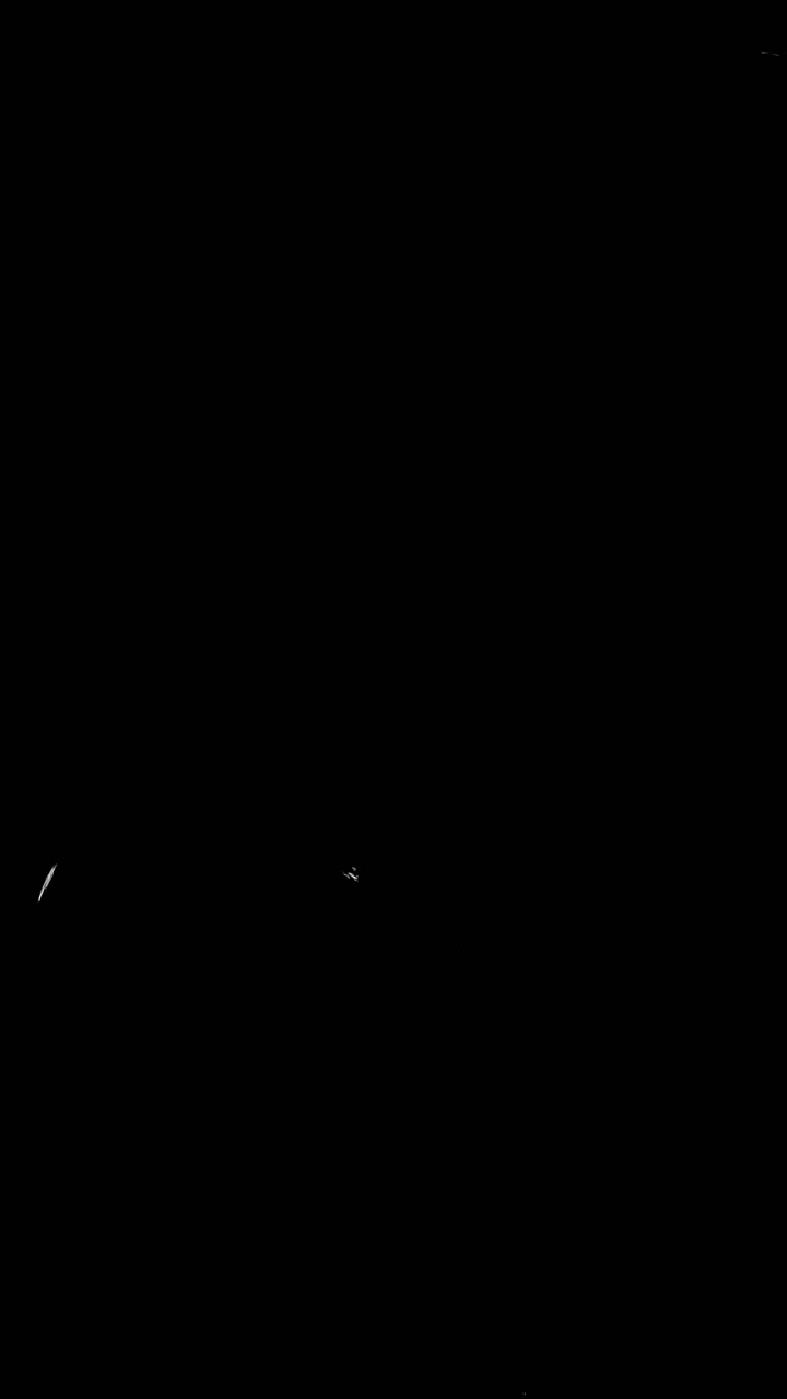 Abstract White Dust Particles Floating on Black Background