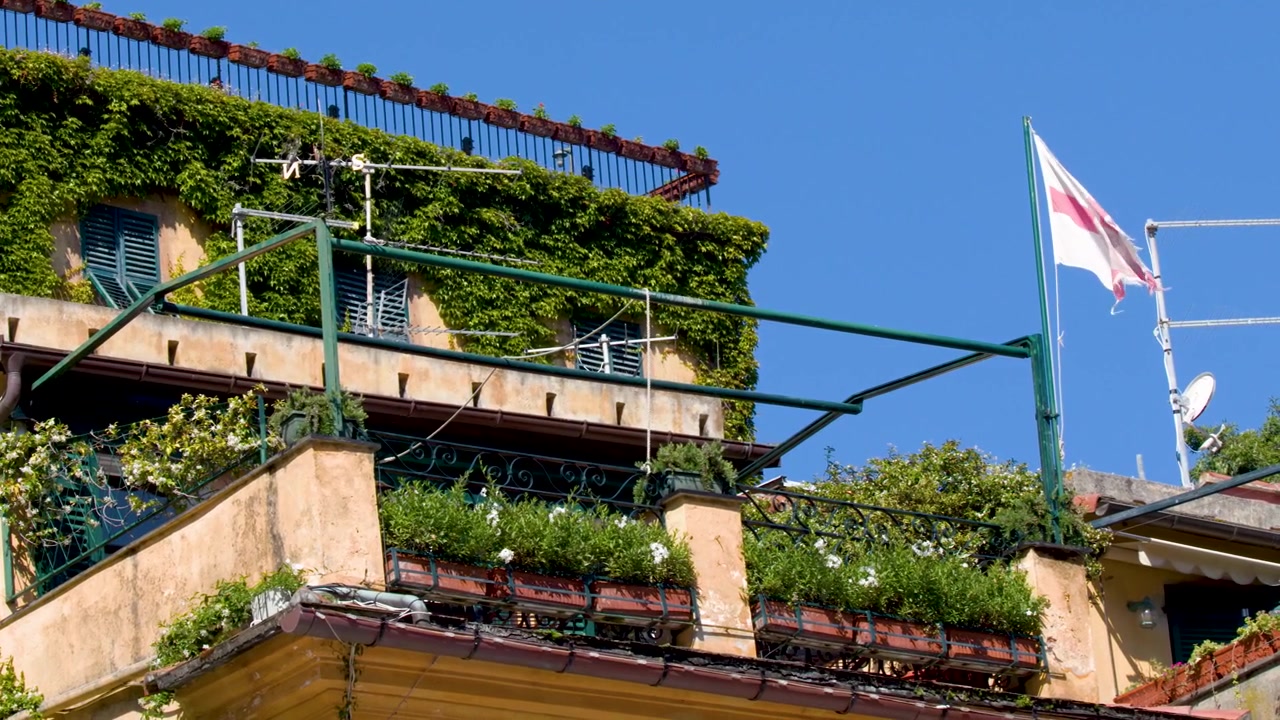 Inquadratura dal basso di un balcone lussureggiante con edera verde e una bandiera che sventola.