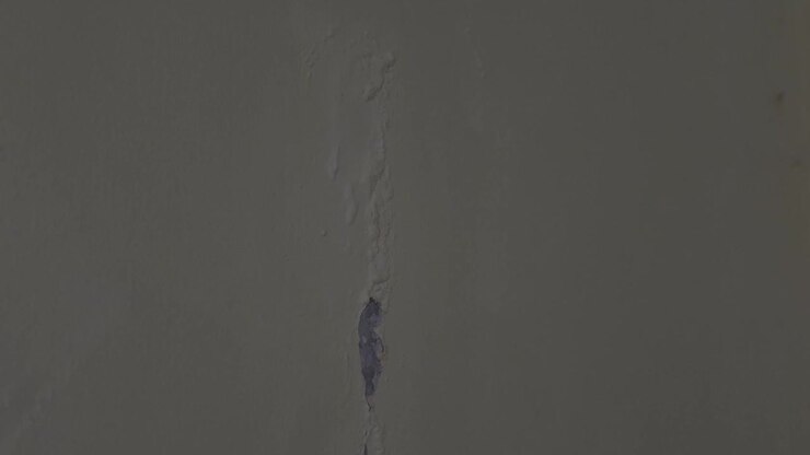 Tilts down to reveal a long, vertical crack with bubbling, peeling paint and mold running down the surface of an interior household wall
