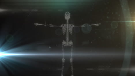 animación de un esqueleto humano girando sobre un fondo verde brillante