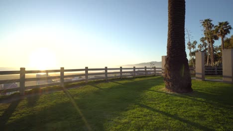 Smooth-beachside-shot-of-palm-tree-and-sun-in-Los-Angeles,-California