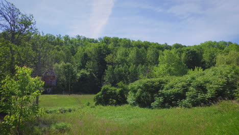 A small house is hidden by tree branches in a forest