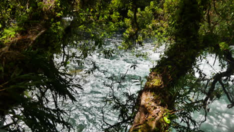 Enorme-Schönheit-Des-Tarawera-Flusses-Und-Fällt-Mit-Dichten-Bäumen-An-Sonnigen-Tag---Neuseeland,-Waimangu