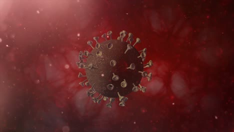 virus image