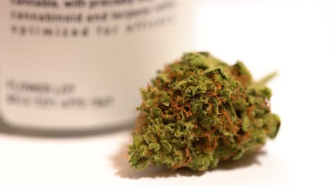 marijuana bud next to its container