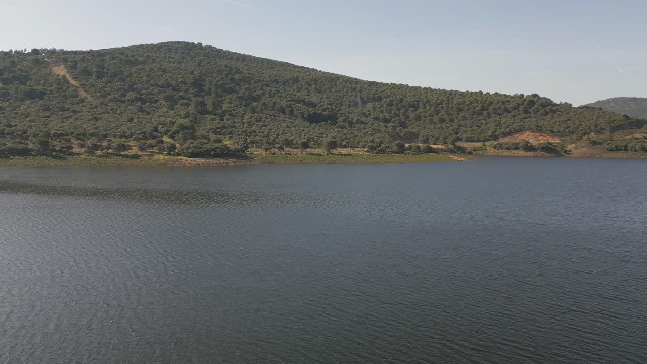 Aerial drone shot skimming over the calm waters of Cíjara Reservoir in Badajoz, Spain, moving towards a wooded hillside under clear skies. A peaceful summer landscape of nature and wilderness