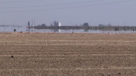 Typical-soil-in-dry-regions-of-California-with-heat-haze-or-Fata-Morgana