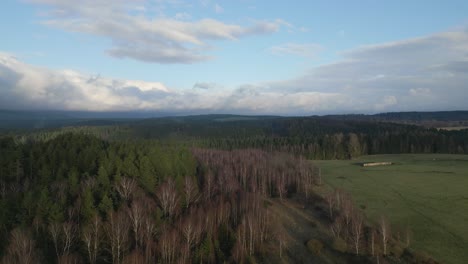 Aerial-view-of-a-peaceful-landscape-with-lush-forest,-open-fields-and-picturesque-clouds-in-the-sky