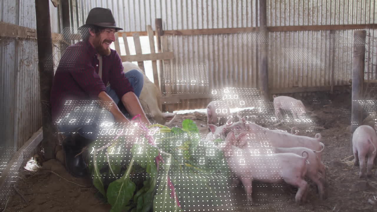 Uomo accovacciato che nutre i maialini in una stalla metallica, mostrando una griglia fluttuante di codice binario per l'agricoltura.